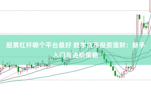 股票杠杆哪个平台最好 数字货币投资理财：新手入门与进阶策略