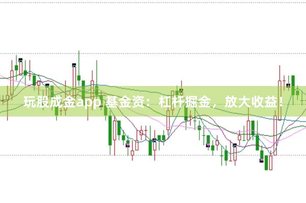 玩股成金app 基金资：杠杆掘金，放大收益！