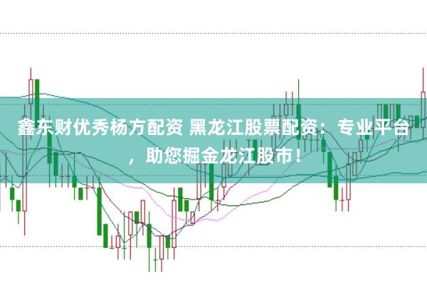 鑫东财优秀杨方配资 黑龙江股票配资：专业平台，助您掘金龙江股市！